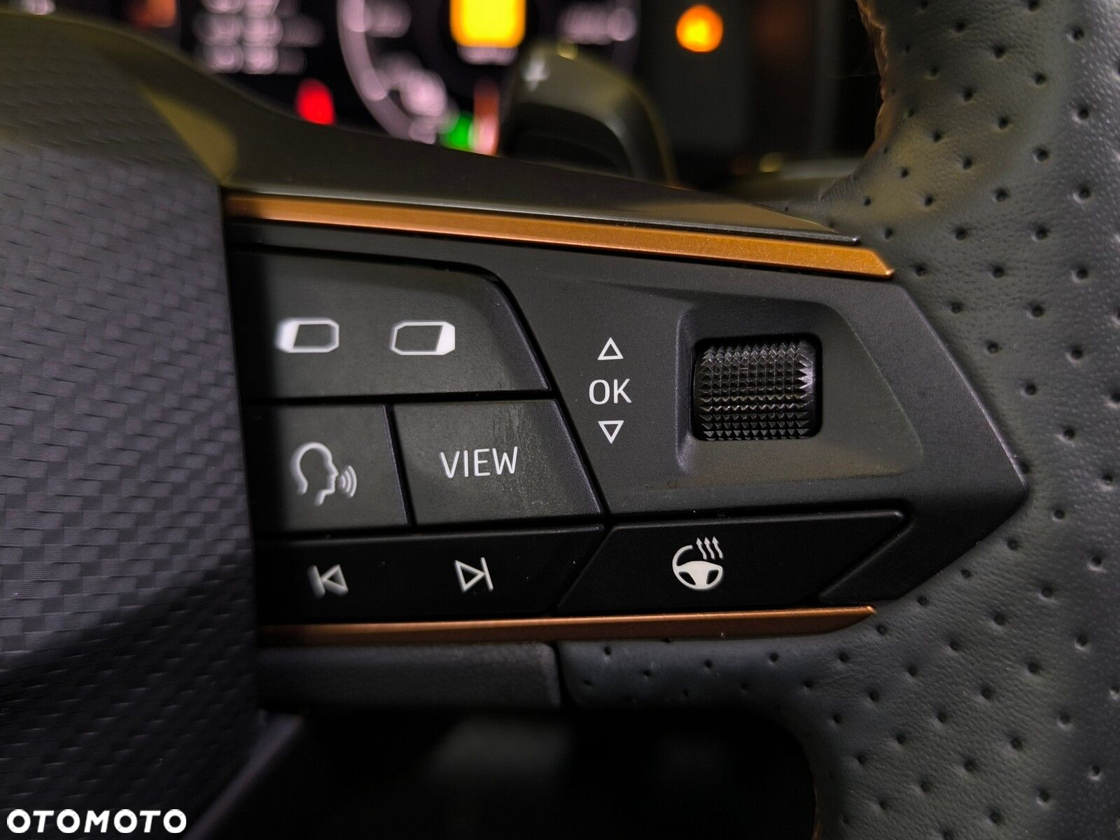Cupra Formentor - 15