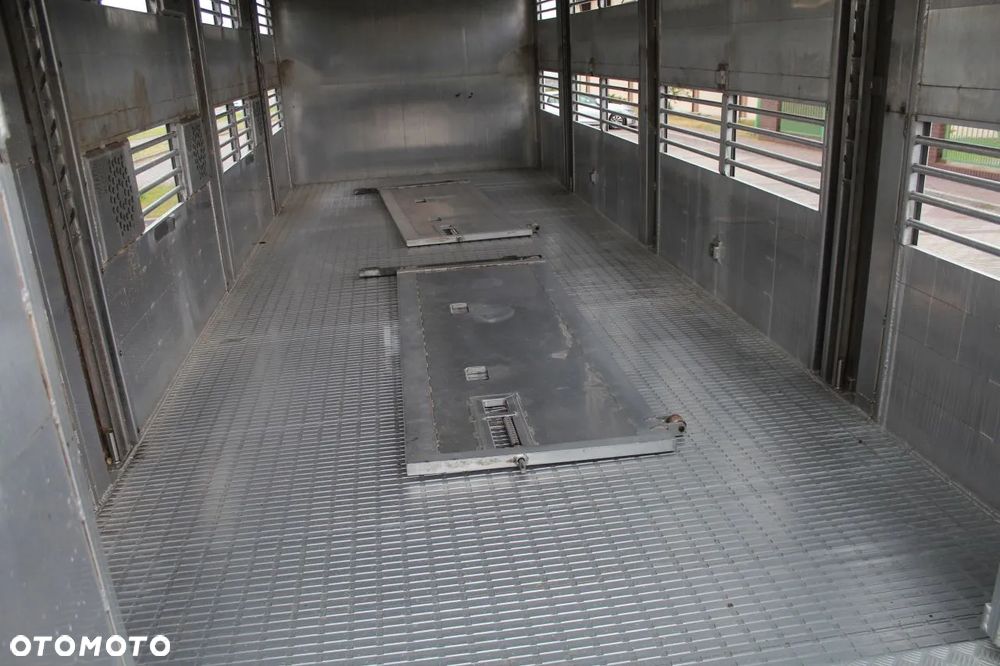 MAN TGS 26.440 DO ŻYWCA ZWIERZĄT BYDŁA Z NIEMIEC - 19