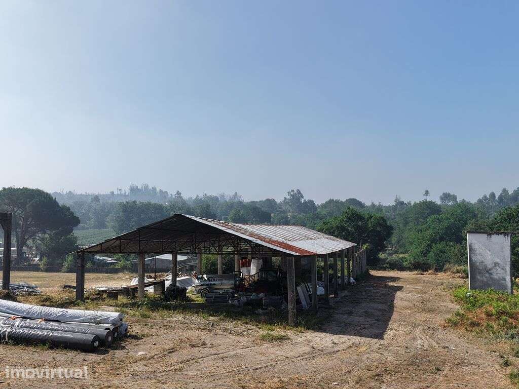 Hangar em Mangualde, Mesquitela e Cunha Alta de 320,00 m2 - Grande imagem: 3/8