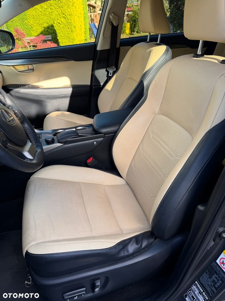 Lexus NX - 12