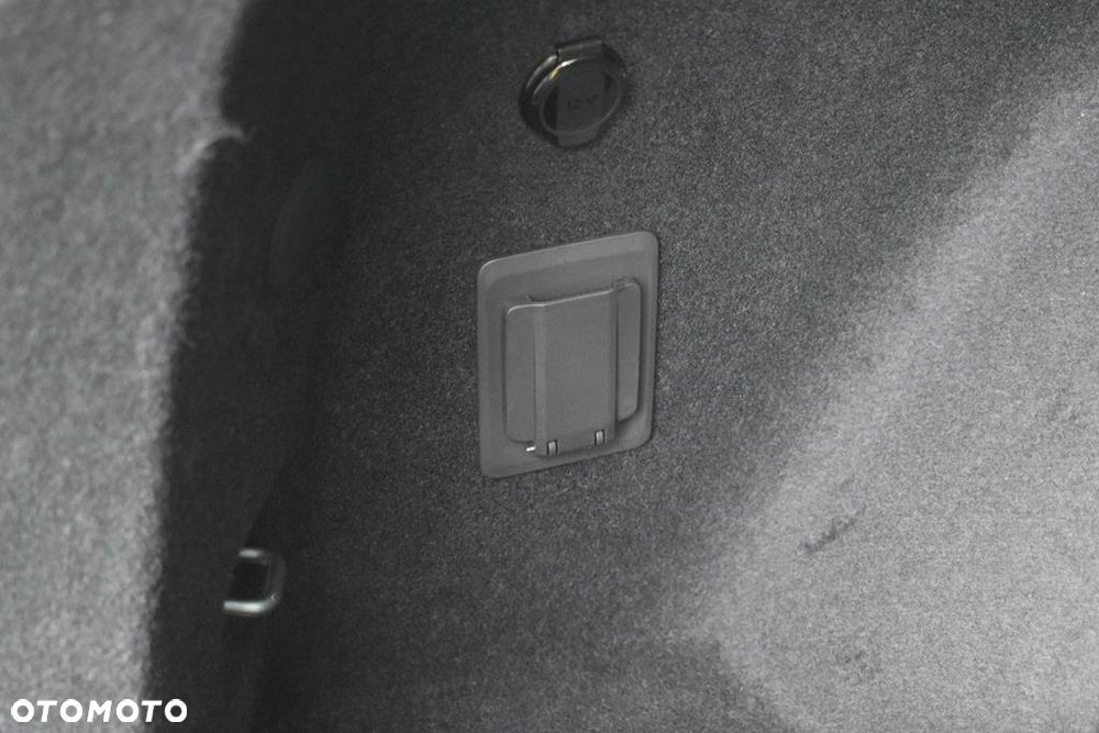 Cupra Terramar 2.0 TSI 4Drive VZ America's Cup DSG - 29