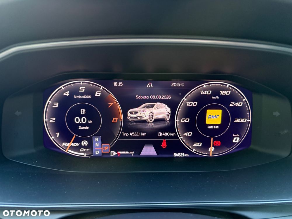 Cupra Formentor 2.0 TSI 4Drive DSG - 15