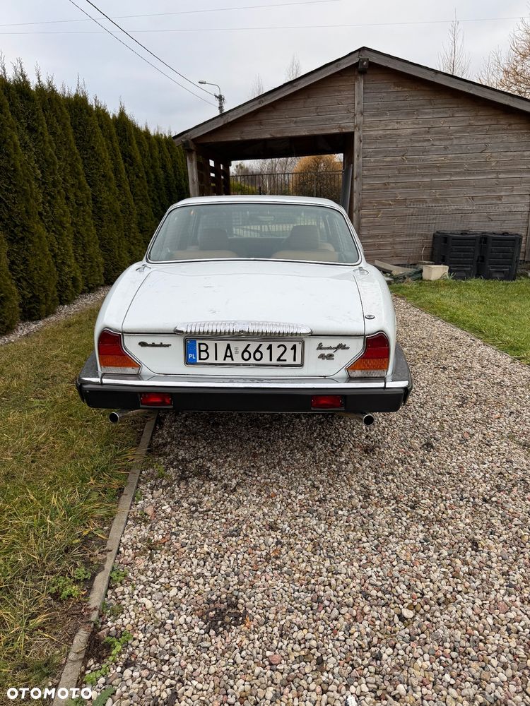 Jaguar Daimler - 5