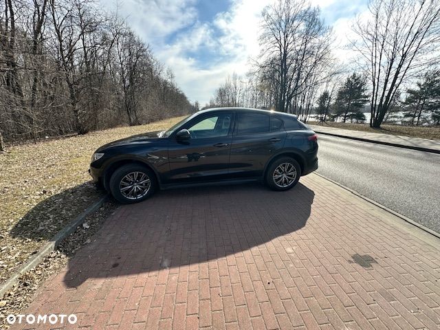 Alfa Romeo Stelvio 2.0 Turbo Q4 - 1