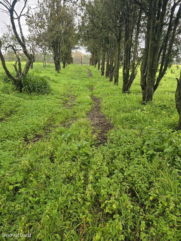 Prédio misto com um terreno rústico de 16.960 m² - Grande imagem: 4/10