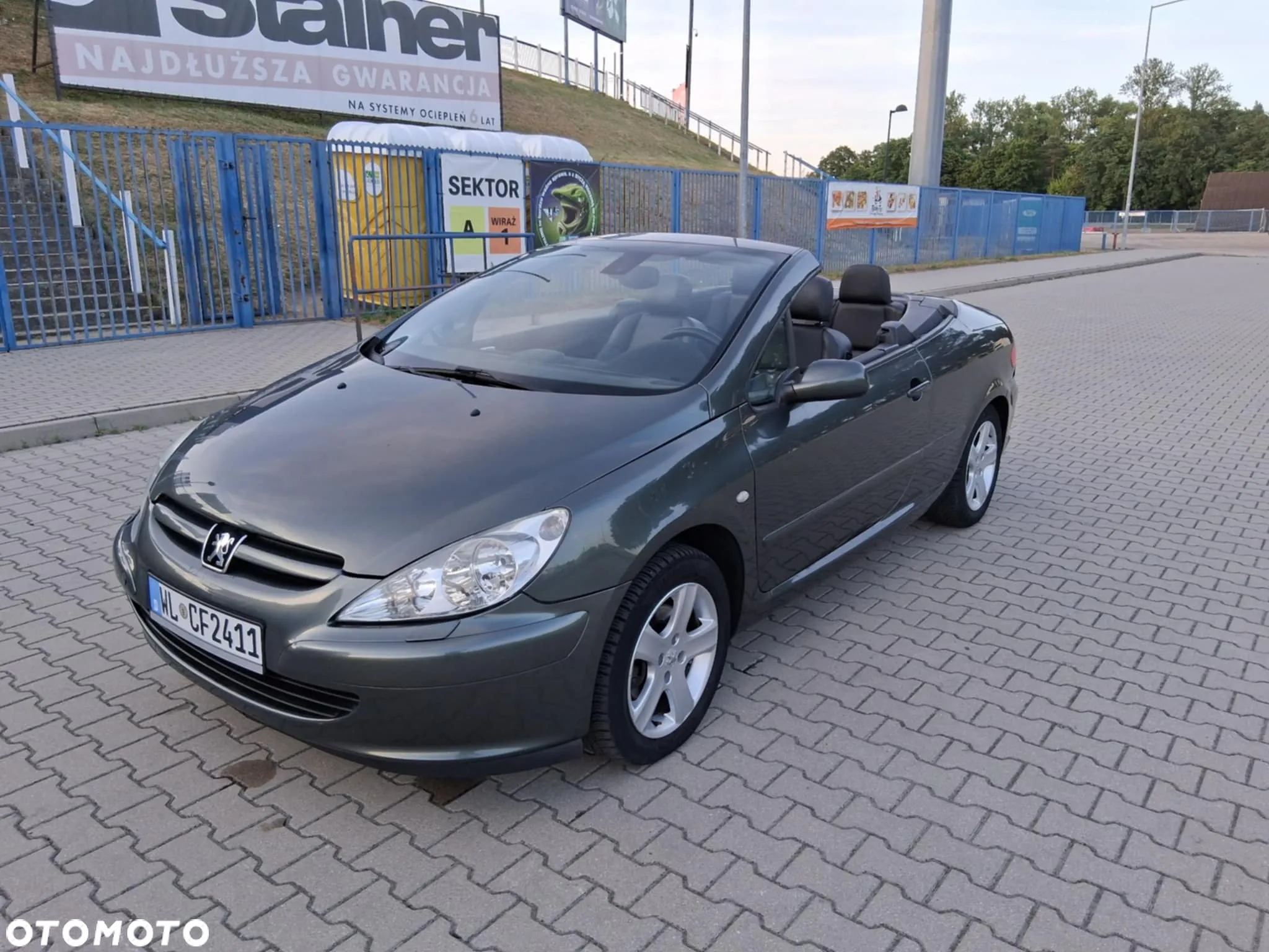 Peugeot 307 - 11