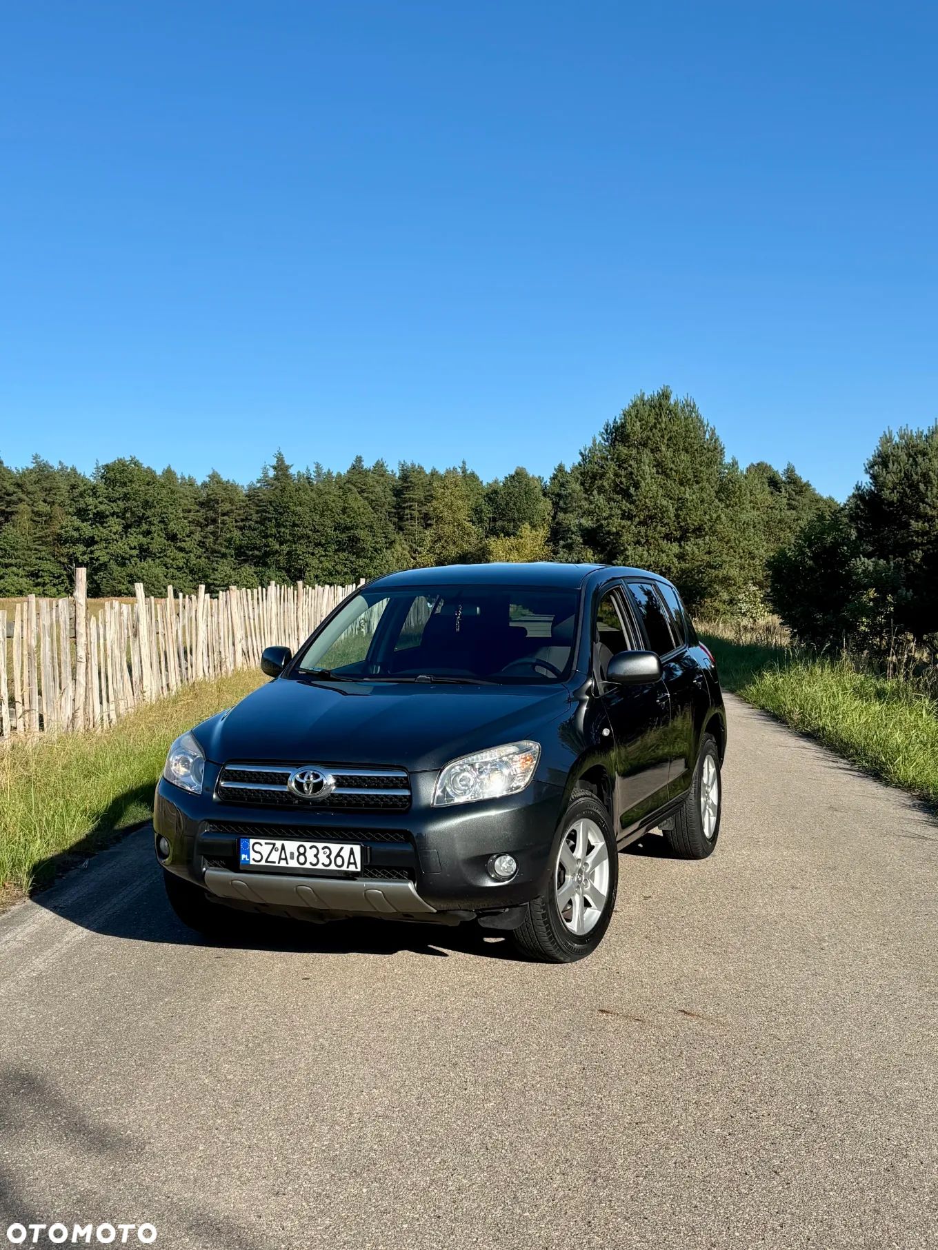 Toyota RAV4 2.0 VVT-i Premium - 1