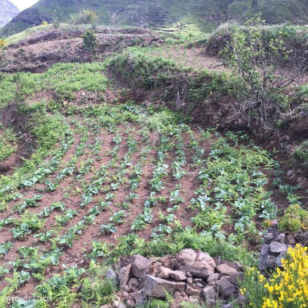 Terreno rústico 2.229m2 com 3 palheiros para recuperação - Grande imagem: 3/11