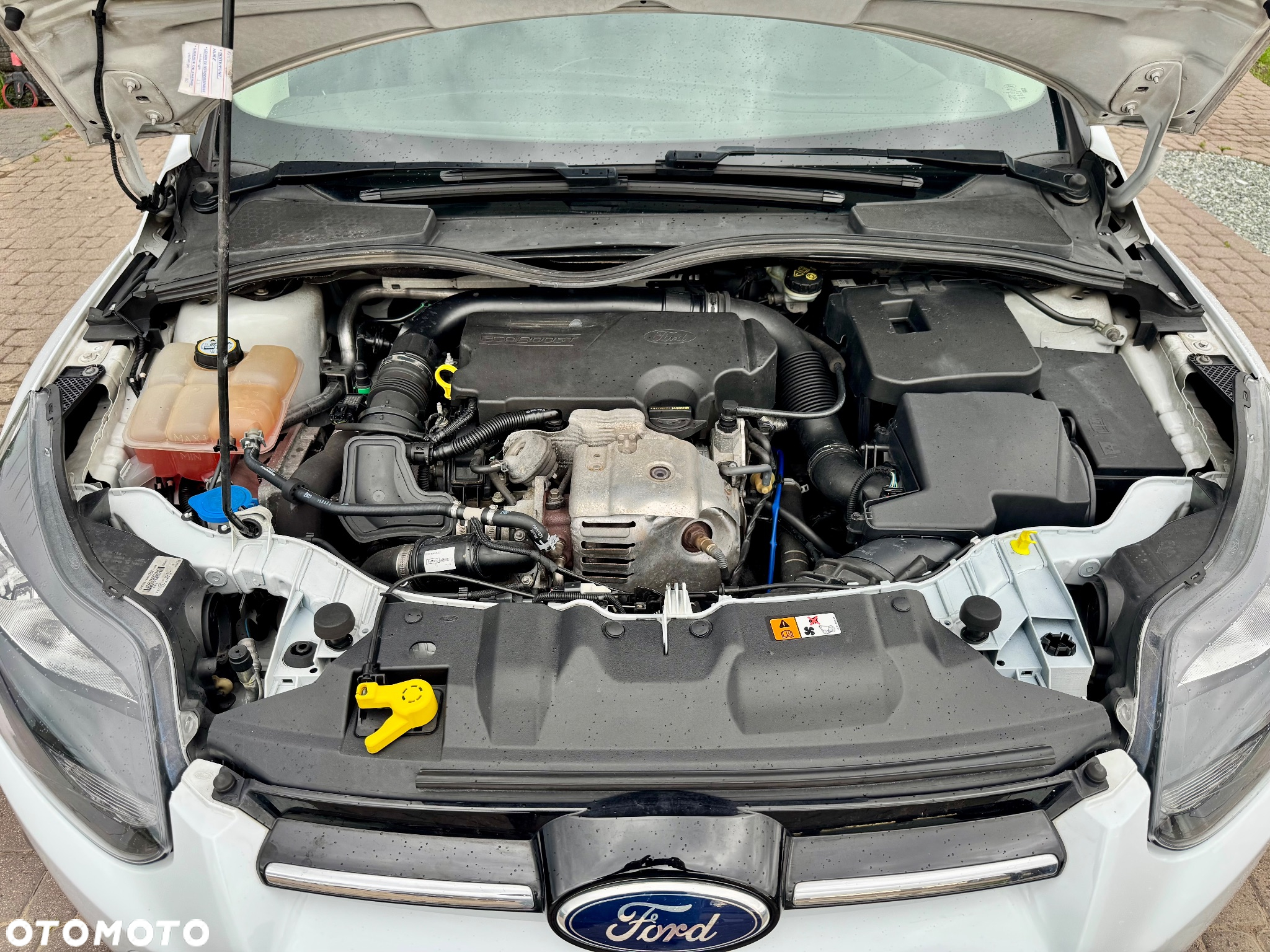 Ford Focus - 29