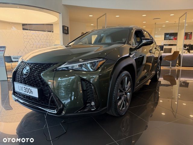 Lexus UX 300h F Sport Design - 1