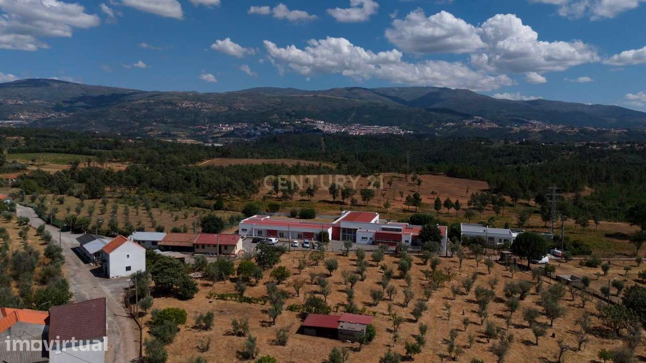 Exclusiva Oportunidade de Investimento:  Residência Geriátrica em Func - Grande imagem: 4/40