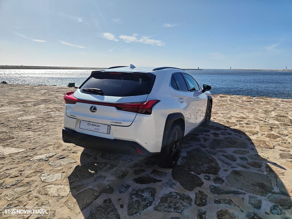 Lexus UX 250h Special Edition (LCA) - 13