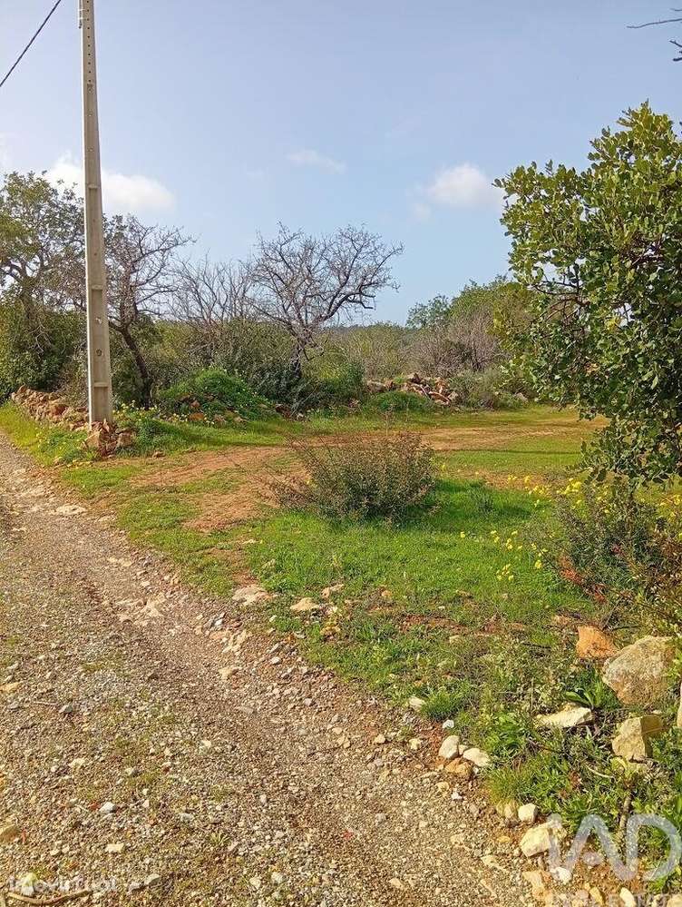 Terreno misto em Conceição e Estoi - Grande imagem: 3/13