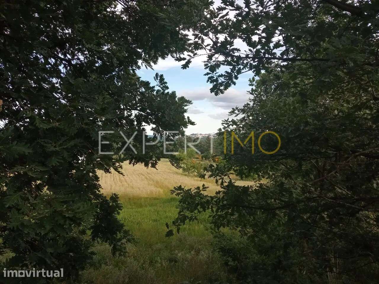 QUINTA SERRA DA ESTRELA, 1 hectare de terreno com casa para... - Grande imagem: 3/25
