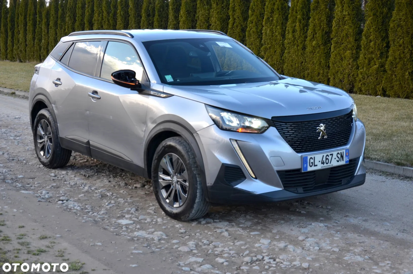 Peugeot 2008 - 8