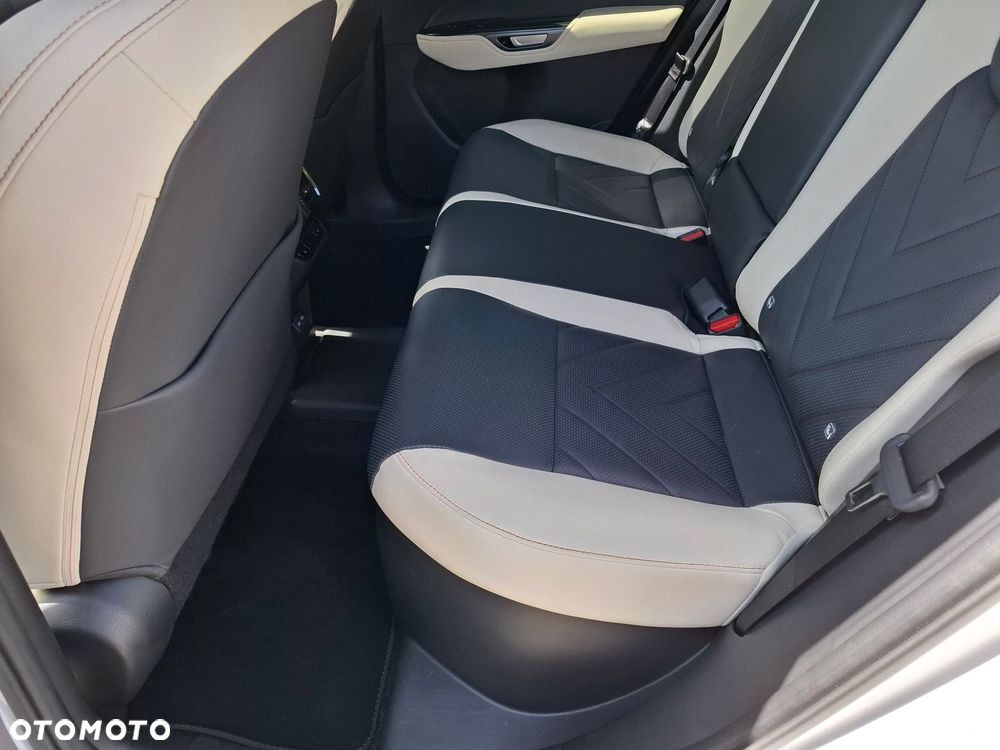 Lexus NX - 18