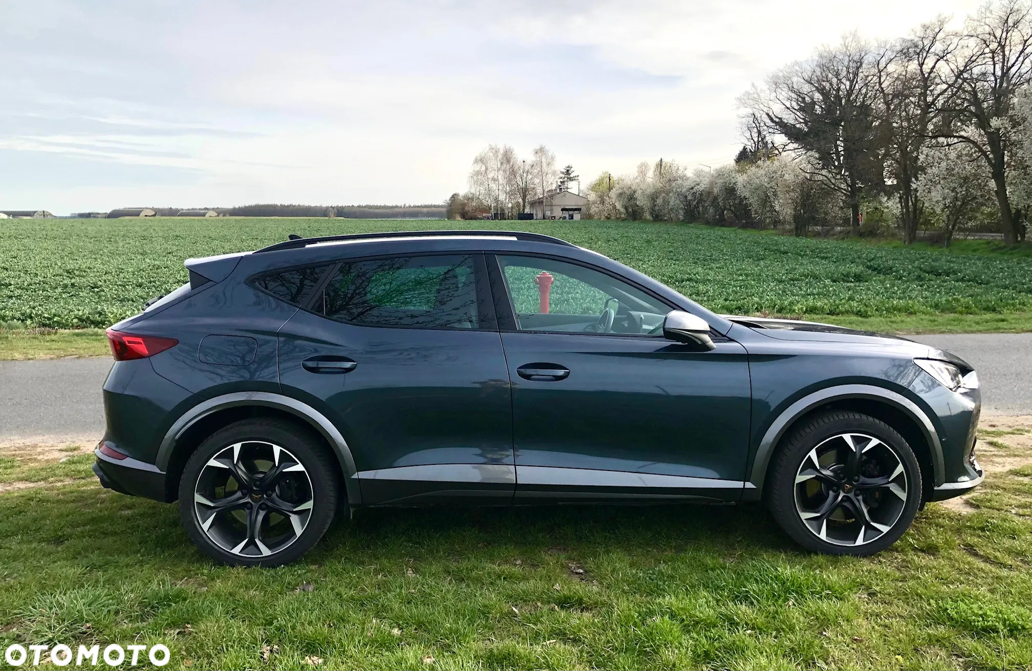 Cupra Formentor 2.0 TSI 4Drive VZ DSG - 5