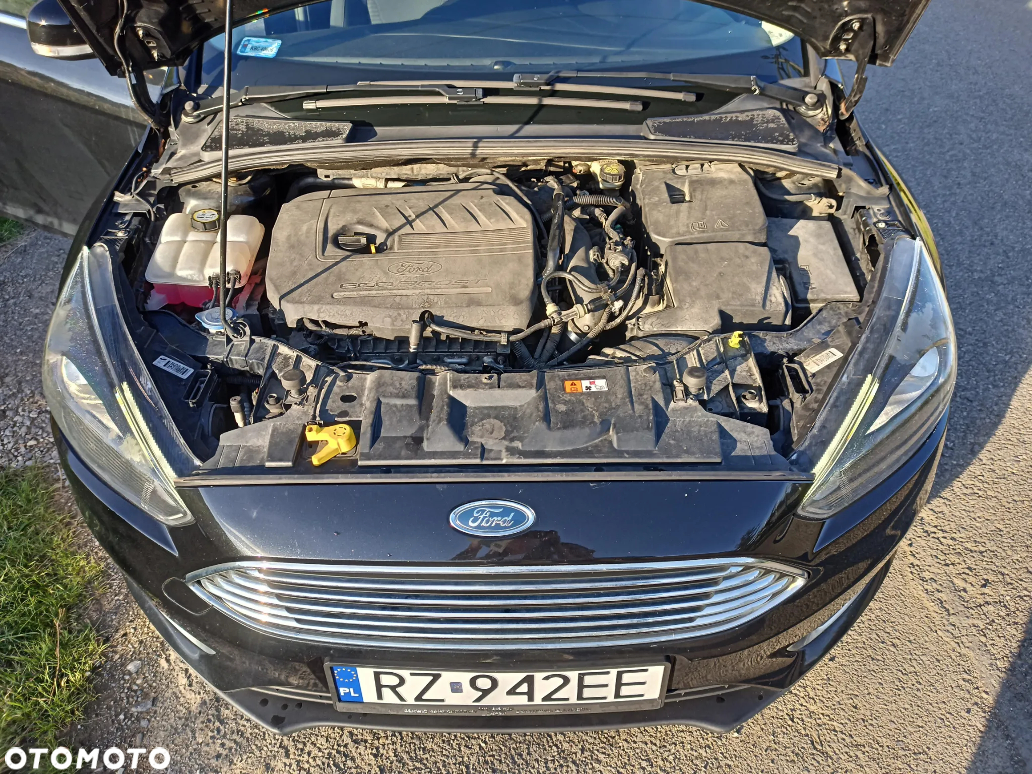 Ford Focus - 18