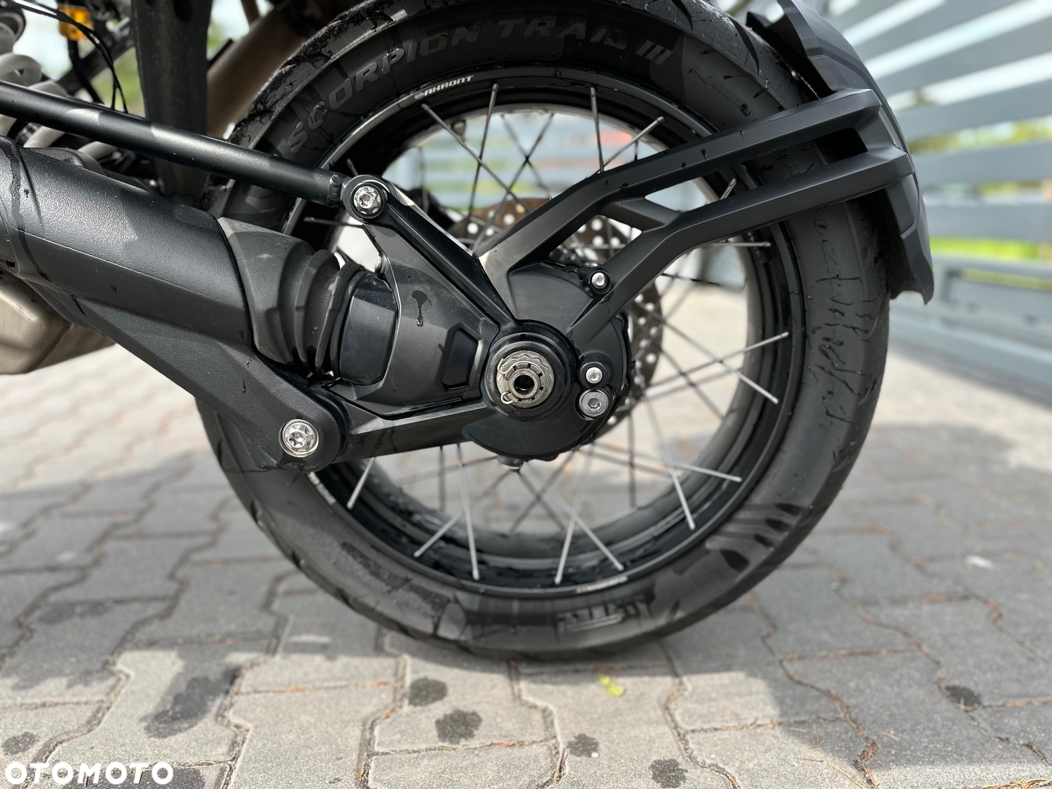 Triumph Tiger - 15