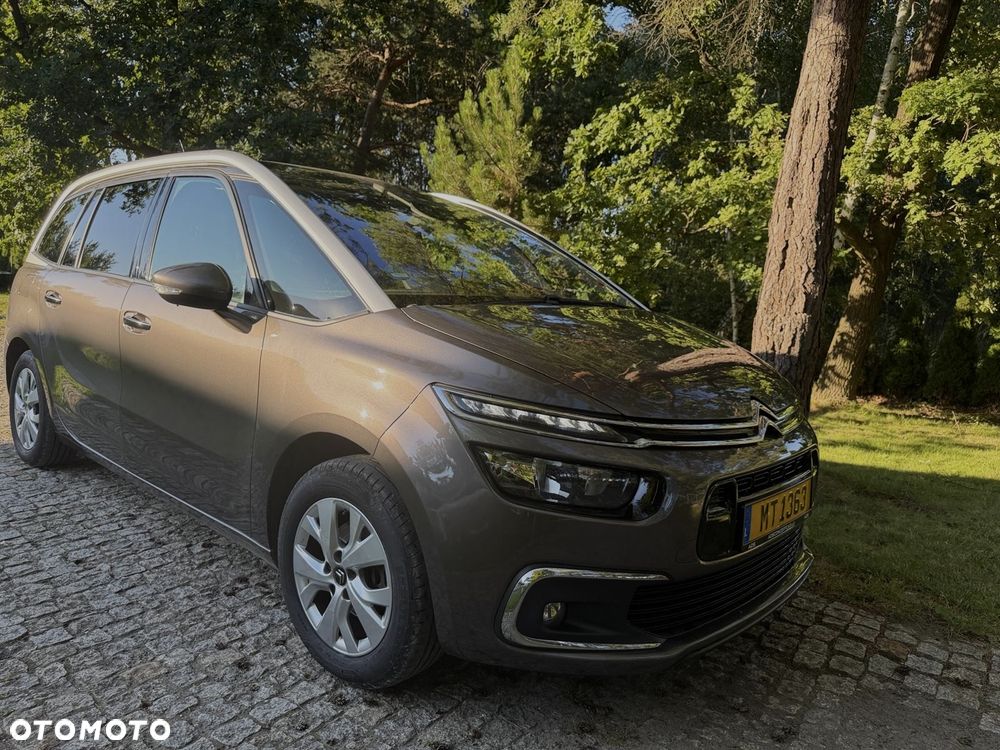 Citroën C4 Grand Picasso BlueHDi 120 Business Class - 14