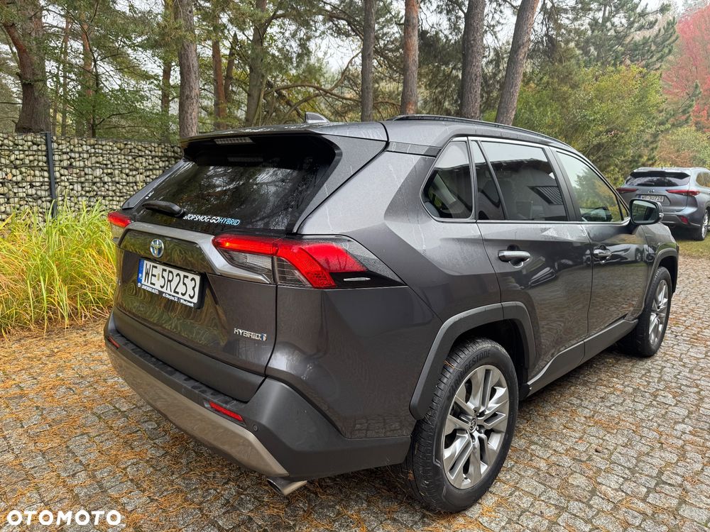 Toyota RAV4 2.5 Hybrid Executive 4x2 - 6
