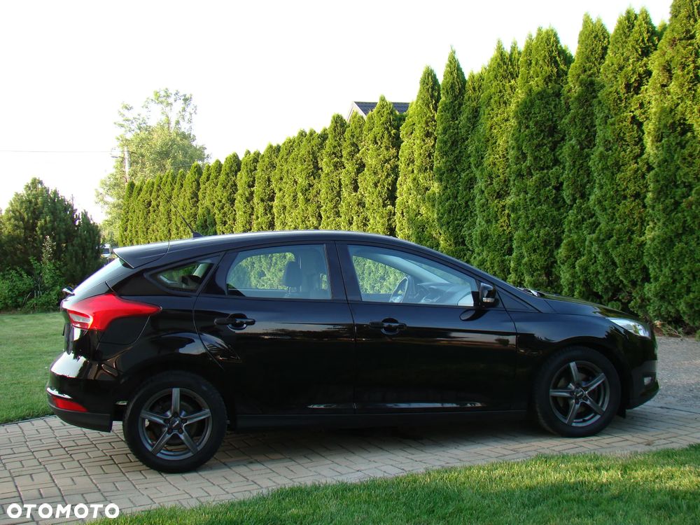 Ford Focus - 14