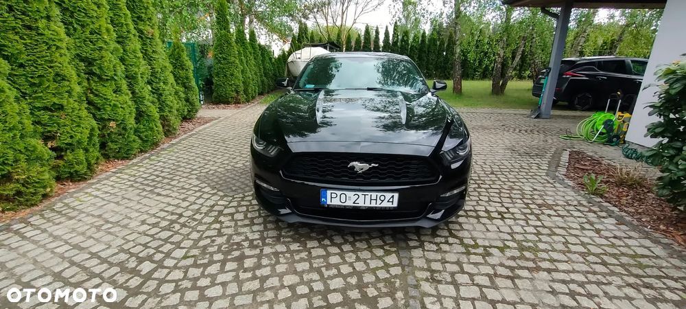 Ford Mustang 3.7 V6 - 10