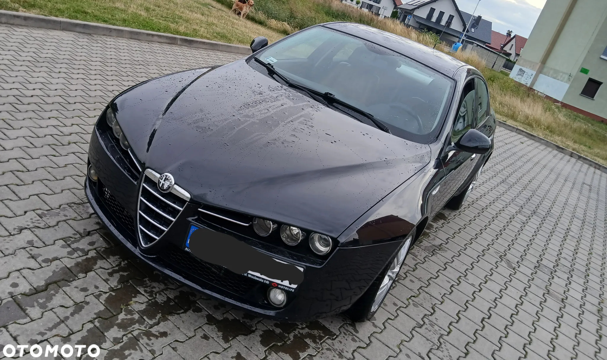 Alfa Romeo 159 1.9JTDM Progression - 3