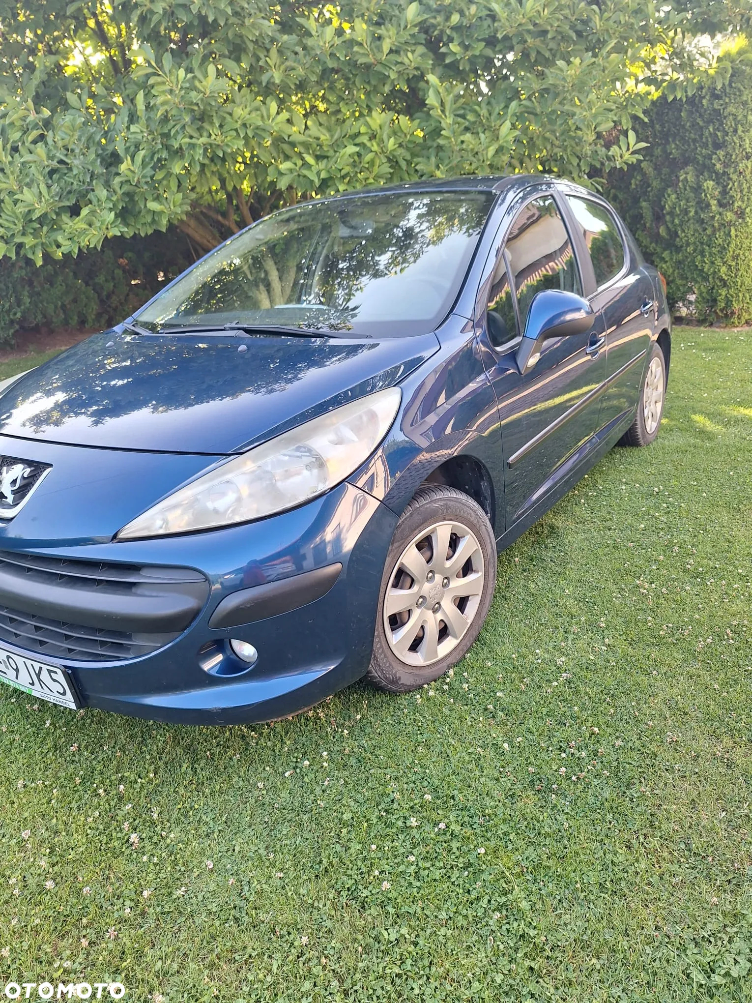 Peugeot 207 - 9