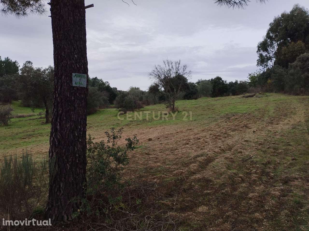 Terreno rustico com casa de Pedra - Grande imagem: 5/8