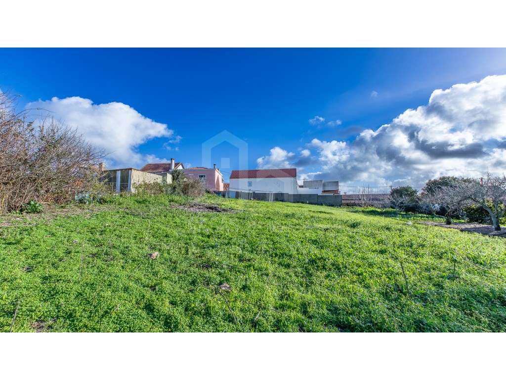 Vende Terreno - Ericeira 15 km, A Casa das Casas - Grande imagem: 2/6