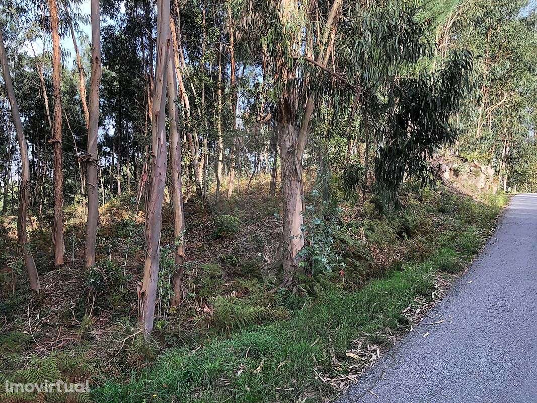 Terreno  para venda - Grande imagem: 3/4