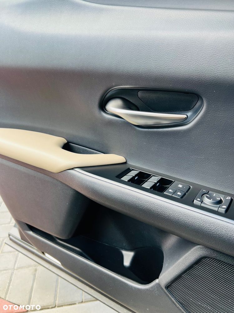 Lexus UX 250h GPF Business Edition 2WD - 14