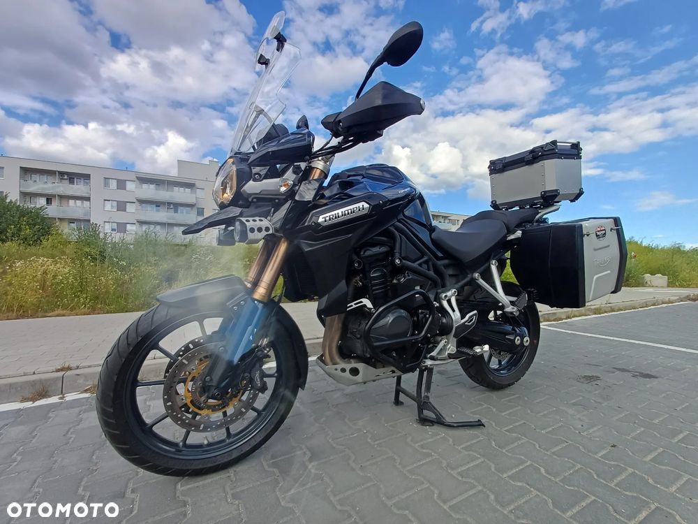 Triumph Tiger - 15