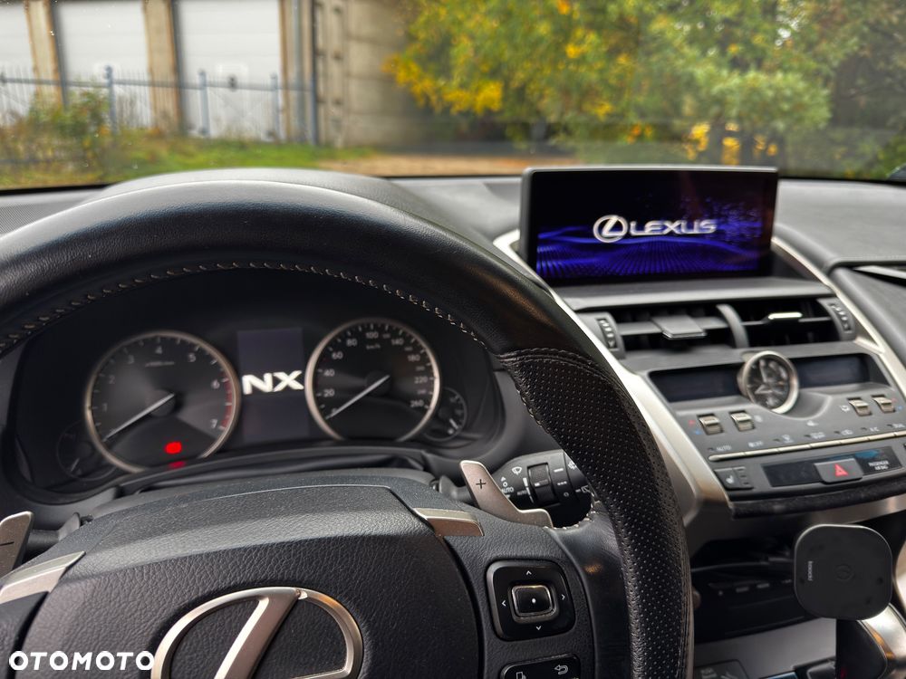Lexus NX - 12