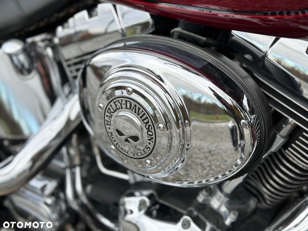 Harley-Davidson Softail Heritage Classic - 5