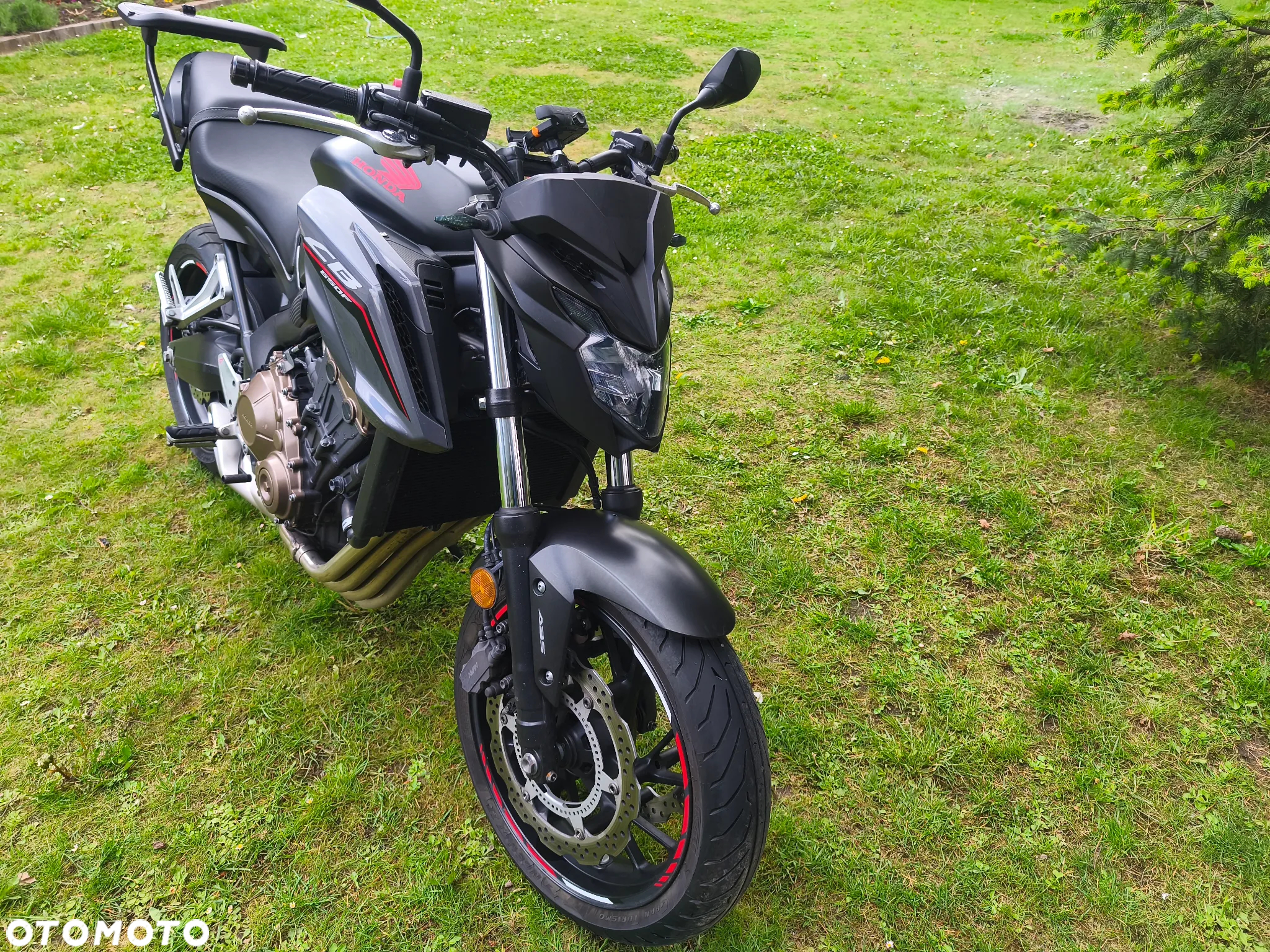 Honda CBF - 2