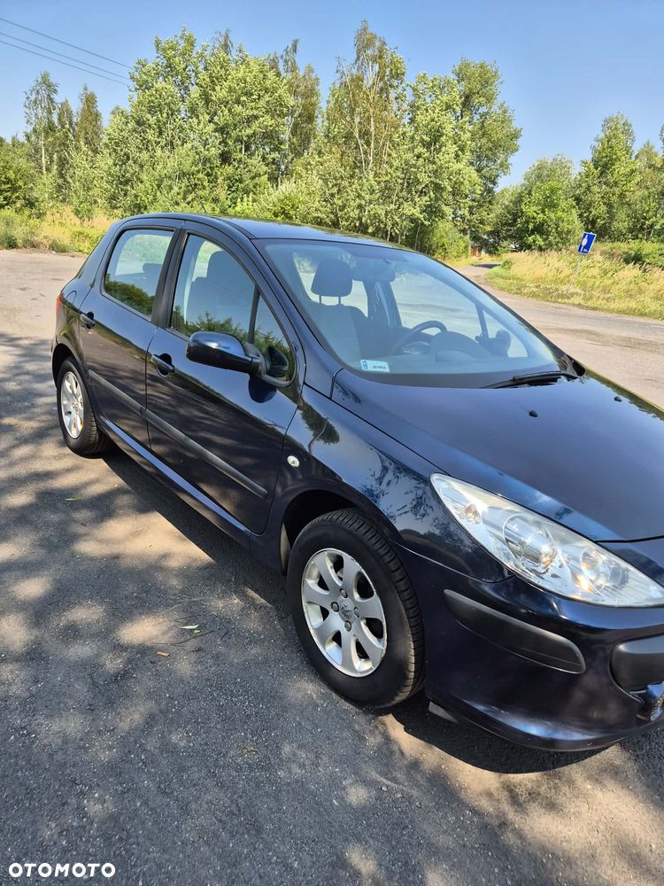 Peugeot 307 1.6 HDI Trendy - 1