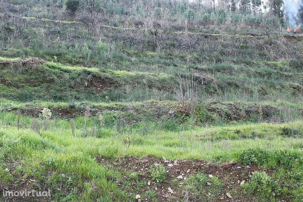 Terreno  para venda - Grande imagem: 2/7