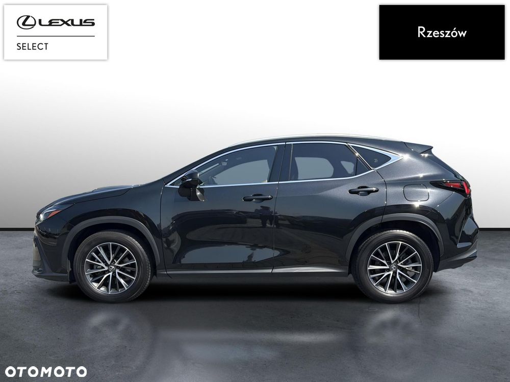 Lexus NX 350h Prestige AWD - 2