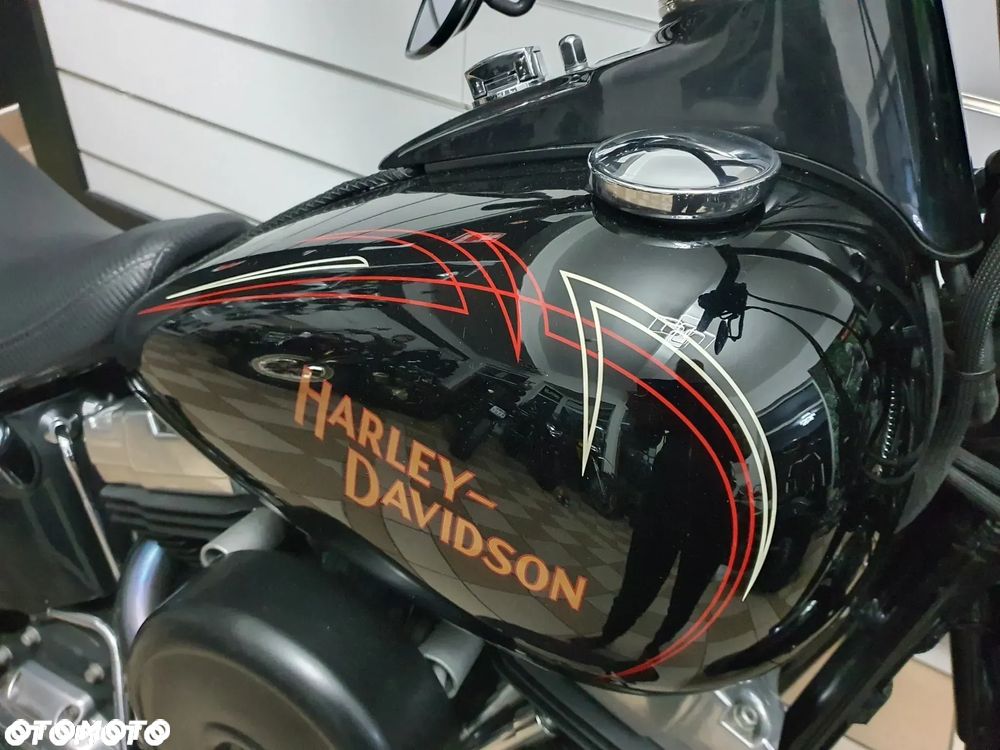 Harley-Davidson Softail Cross Bones - 14