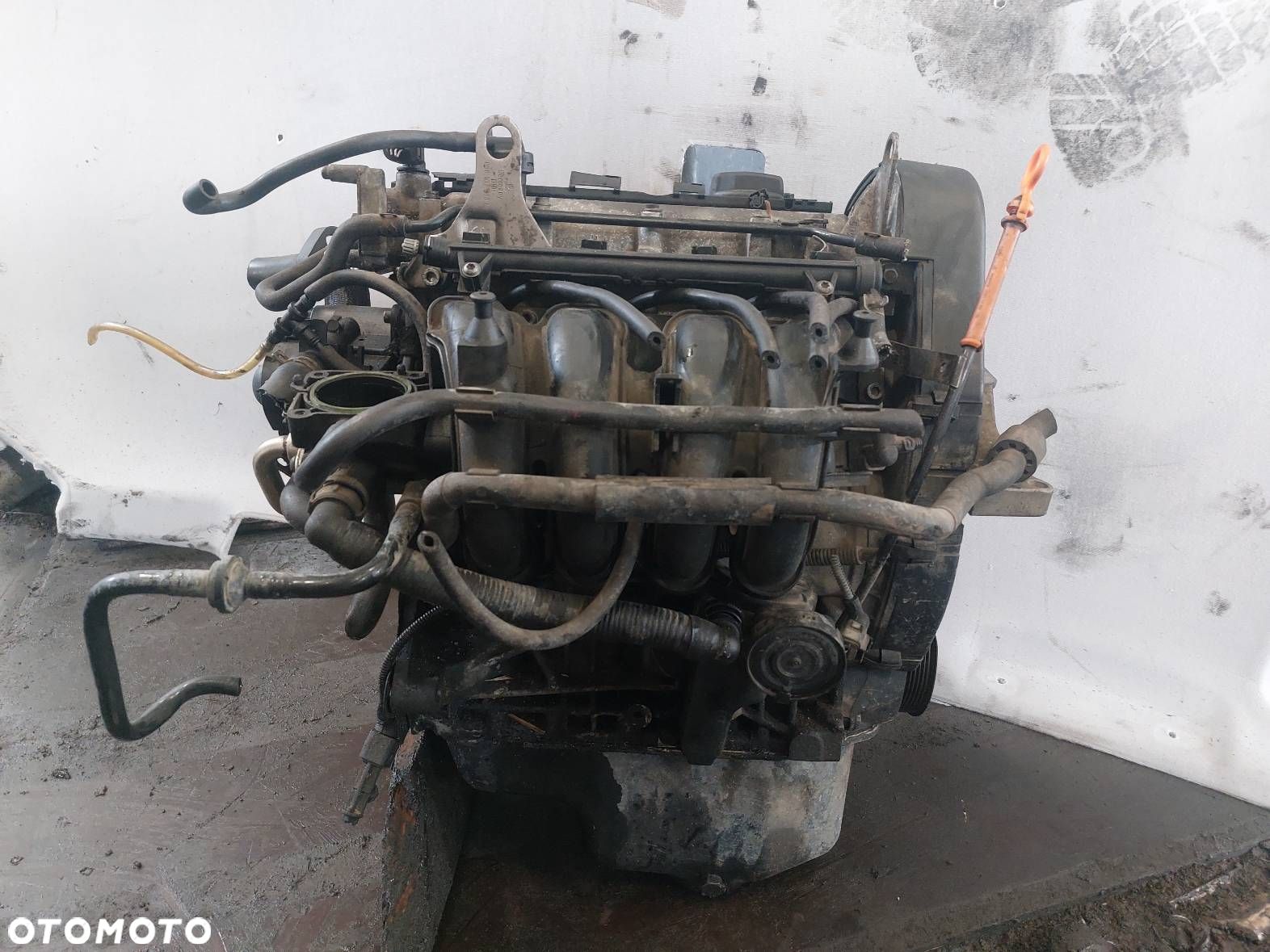 SILNIK BENZYNOWY SEAT CORDOBA II IBIZA III 1.4 16V BKY - 1