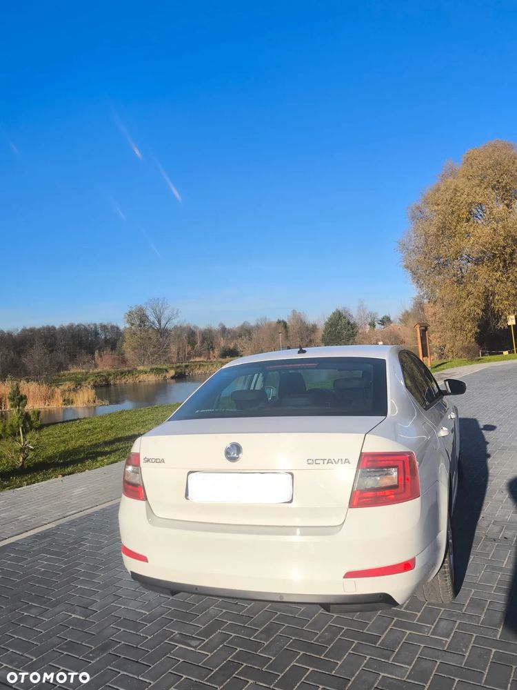 Skoda Octavia 1.6 TDI Edition - 3