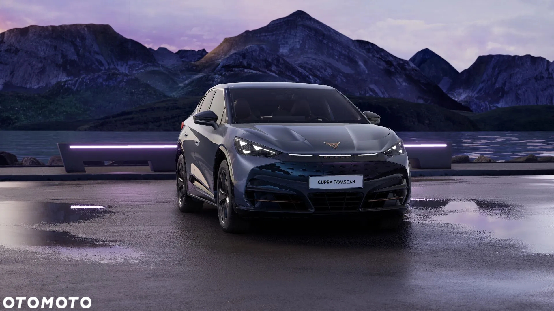 Cupra Tavascan - 2