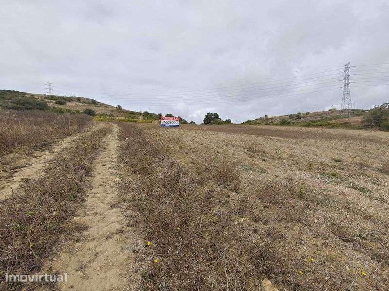 Terreno com 2 hectares - Grande imagem: 3/4