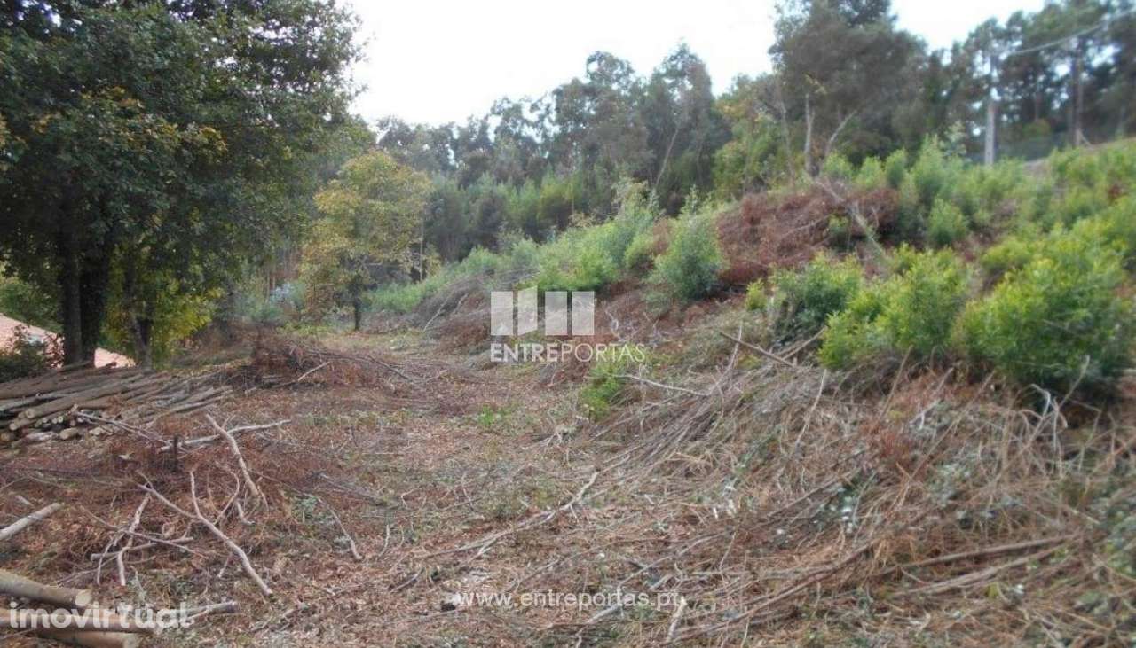 Terreno Venade - Grande imagem: 4/9