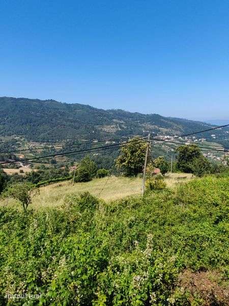 Quintinha no Douro Sul (Ferrós de Resende) - Grande imagem: 3/12