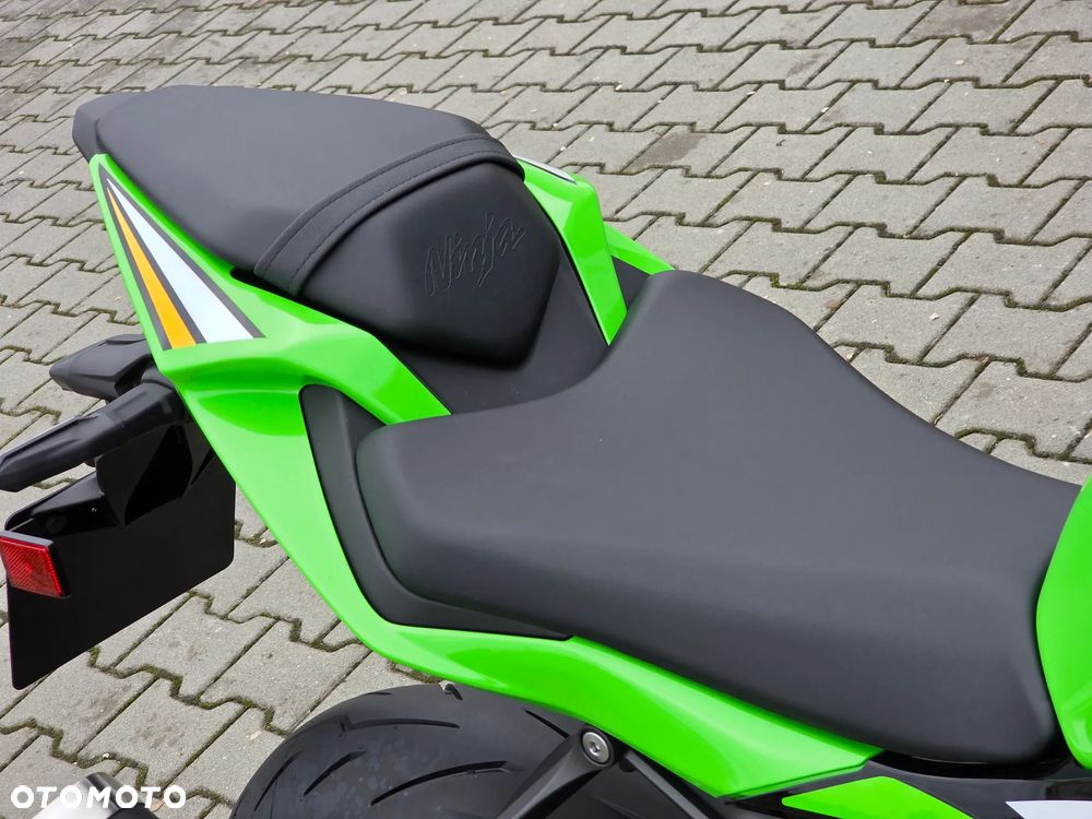 Kawasaki Ninja - 11