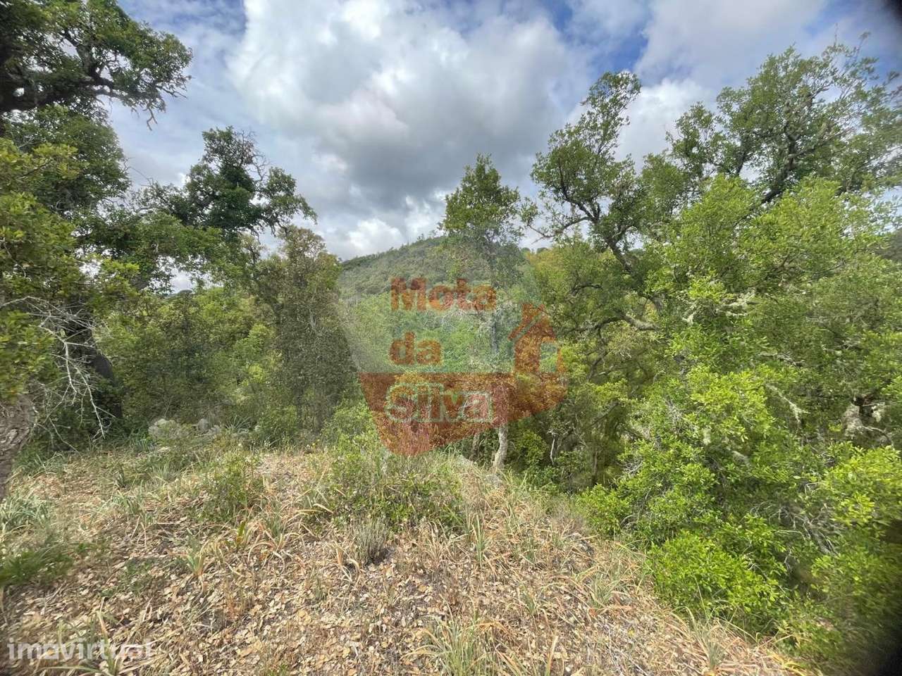 Terreno na aldeia de São Francisco da Serra - Grande imagem: 2/7