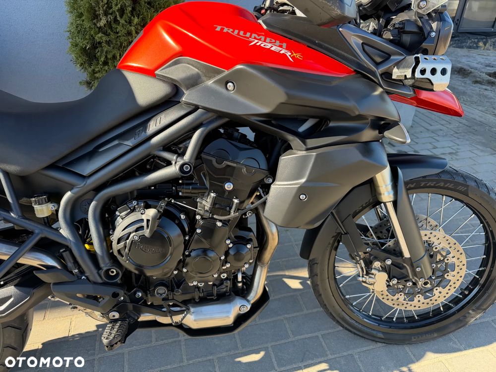 Triumph Tiger - 15